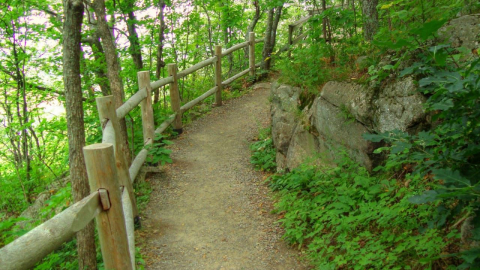 Hiking - Champlain Lookout Trail - Gatineau Park